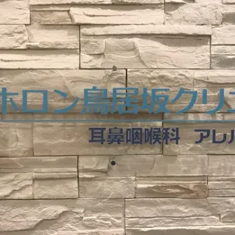 ホロン鳥居坂クリニック耳鼻咽喉科アレルギー科