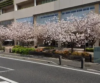 柏の葉ゲノムクリニック