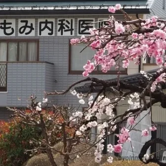 ともみ内科医院